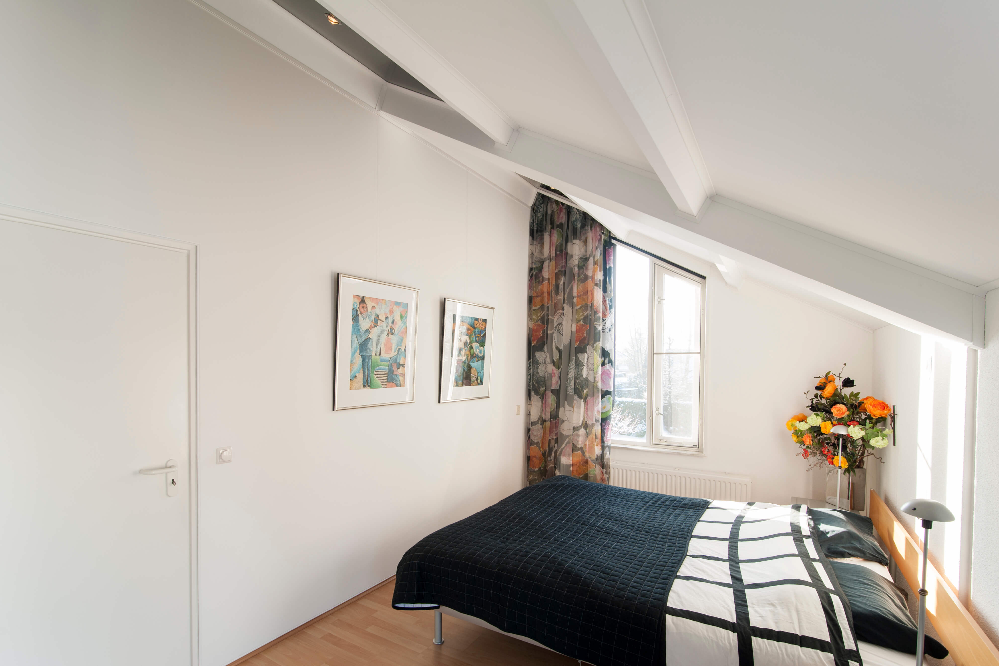 Slaapkamers dreamplafonds